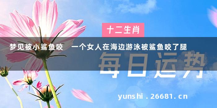 梦见被小鲨鱼咬 一个女人在海边游泳被鲨鱼咬了腿